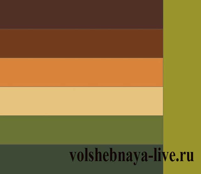 Горчичный коричневый. Сочетание цветов с коричневым. Сочетание коричневого и зеленого. Сочетание цветов хаки. Сочетание цветов коричневый и зеленый.